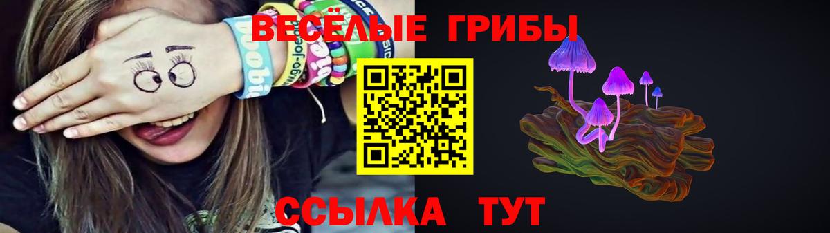 Псилоцибиновые грибы Psilocybine cubensis Новосибирск